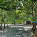 배너미오토캠핑장 이미지