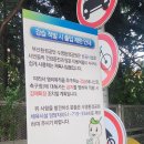 수영환경 | 15분도시 부산, 부산환경공단 수영환경공원 축구장 방문 후기