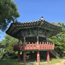 임천 유태사 묘 네이버블로그