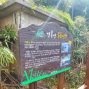 해안코스 | 삼척가볼만한곳 가볍게 산책하기 좋은 덕봉산해안생태탐방로 후기(약30분 코스)