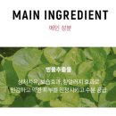 FIT 36.5 네이버블로그
