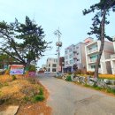 톱머리 펜션 이미지