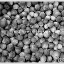 서울모담치과의원 이미지