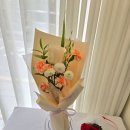 더플레르미 이미지