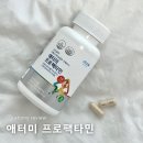 애터미 프로팩타민 성분 비교 효능 가격 총정리｜복용 시간부터 후기까지!