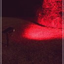 대장2구 이미지