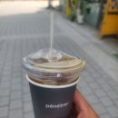 Penetrer(페네트레)