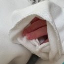 세탁천국 | 조리원천국 후기