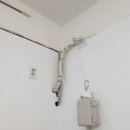 만두네 애견미용실 이미지