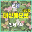 대신해모로공인중개사사무소 이미지