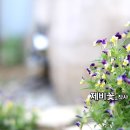세미기획