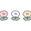 샤인모어 이미지