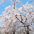 행주나루길 이미지