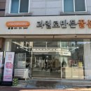 꿀봄 이미지