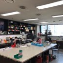 한국임플란트치과기공소 이미지