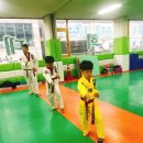 경희대 대성 태권도장 이미지