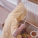 여수키즈풀빌라 남쪽아이 이미지