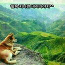 덕촌초교 이미지
