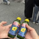 세븐일레븐 공주신영휴게소점 | 후쿠오카 유유버스 버스투어 유후인 편