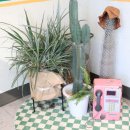 버거베이 이미지