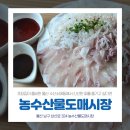 경북청과상회 | 울산 농수산물도매시장에서 신선한 회 한 접시 어때요?!