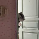 주몽오락실 | [속보] 사라진 8월