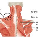 더나인의원 이미지