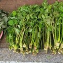 애막골 등산로 입구 이미지