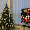 머물다삼포 이미지