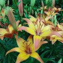 과천역 5번 출구 이미지