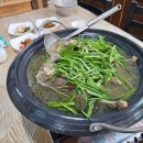 형제오리 이미지