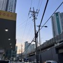 시민문화회관 | [260205 / 뮤지컬] 어쩌면해피엔딩:: 부산 시민문화회관 대극장 전미도X정휘X이시안 1층 B블럭 7열시야...