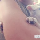 필동물종합병원 이미지