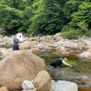 지리산나래울민박 이미지