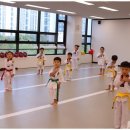 마루태권도 이미지