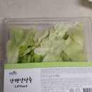 나떼 이미지