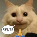 오타쿠