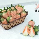 세라농장