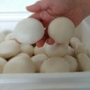 영송농장 이미지