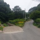 대전리 마을회관 이미지