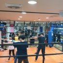 MM Gym 이미지