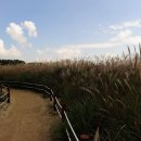 옥산농업협동조합 이미지