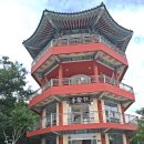 꽃 무릇은 뺄간 구찌배누를 바르고 꿈속 까지! - 사천 두량저수지, 사천읍성,선진리성 꽃무릇 그리고 남산(133.7)~ 이미지