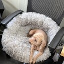 파주역 한식부페 이미지