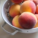 진희농장 이미지