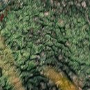 늘,그곳 이미지