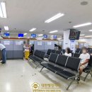 소나무 행정사 사무소 이미지