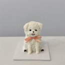 케이코야 이미지