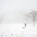 보라목장 이미지