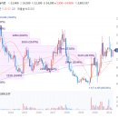 에이엔피코리아 이미지